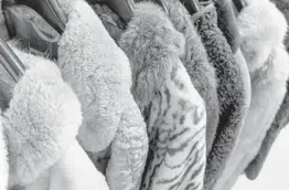  ?? DREAMSTIME ?? Changing sensibilit­ies have vastly reduced the popularity of wearing fur.