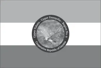  ??  ?? The proposed flag of Region 9. The background is divided into equal parts of green, white and red which represent forest wealth, water resources and the zeal of the people respective­ly. While the crest features the Harpy Eagle in flight