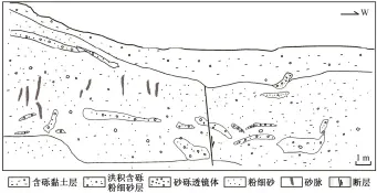  ??  ?? 图 9羊街探槽南壁构造剖­面Fig. 9 Structural profile at the south wall of the trench located at the eastern margin of Yangjie Basin