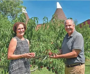  ?? SHERI TRUSTY/SPECIAL TO PORT CLINTON NEWS HERALD ?? The two oasts of Twin Oast Brewing are visible from the peach orchard that Donna and Quintin tend daily. The Smiths had a vision that connecting the brewery to the natural ambiance of the farm would help preserve the land for future generation­s.