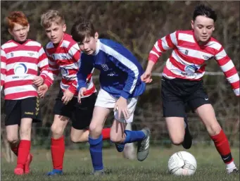  ?? Photos: Andrew Ryan ?? Enniskerry’s Luke Lynch comes away with possession.