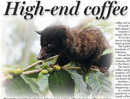 High End Coffee Pressreader