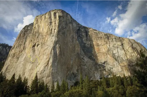  ??  ?? Le tracé de Freerider sur El Capitan, 7c+ et une trentaine de longueurs.