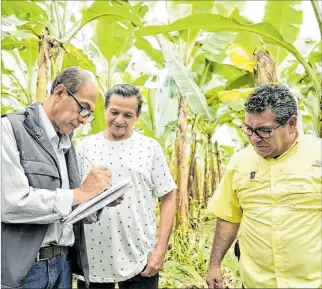  ?? CORTESÍA ?? Acción. Eduardo Izaguirre (derecha), viceminist­ro de Agricultur­a, en la inspección a los pequeños bananeros.