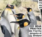  ??  ?? Visit car and toy attraction
BEAK PRACTICE
Find the penguins at
Birdland