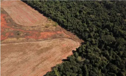  ?? Photograph: Amanda Perobelli/Reuters ?? Aerial view of deforestat­ion in Mato Grosso state, Brazil, in July 2021.