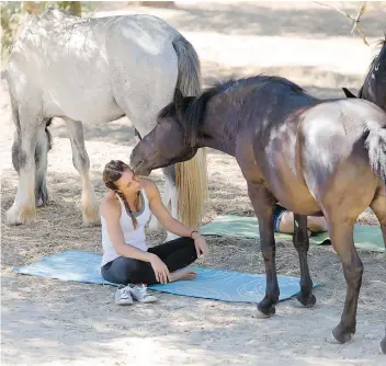  ??  ?? Equine therapists say horses are sensitive to human energy and force people to be focused on the here and now.