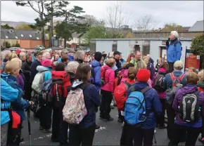  ??  ?? Kerry Camino Chairperso­n Mike O’Donnell addressing the walkers at the outset of last year’s walking festival which took pilgrims out of Tralee and along the glorious flanks of Sliabh Mis.