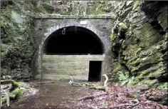  ??  ?? The abandoned Mount Elliott tunnel would be a focal point of the New Ross inner greenway.