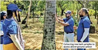 Green Fix Consultanc­y advocates eco-conscious public-private ...