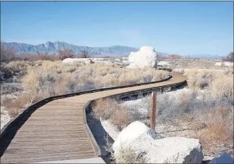  ??  ?? A boardwalk leads visitors through the seemingly barren landscape to Longstreet Spring in Ash Meadows National Wildlife Refuge in Nevada.