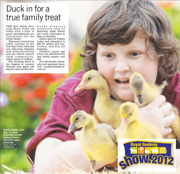  ?? Photo: PETER RISTEVSKI ?? FLUFFY DUCKS: Jordi Gee, 13, holds ducklings from the Geelong Show’s interactiv­e pens yesterday.