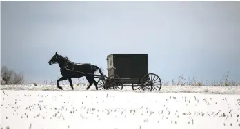  ?? CHRIS KNIGHT/AP ?? An Amish buggy travels through the snow Feb. 2 in Earl Township. The administra­tor of a medical center in the heart of the Amish community in New Holland Borough estimates as many as 90% of Plain families have had at least one family member infected with COVID-19.