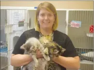  ?? NEWS PHOTO JEREMY APPEL ?? Medicine Hat SPCA executive director Katie Ayres holds three of the society's kittens up for adoption. For “Meowvember,” it is offering 50 per cent off on adoption fees for cats and kittens from Nov. 6 -19.