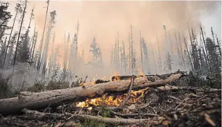  ?? DARRYL DYCK
THE CANADIAN PRESS FILE PHOTO ?? A UBC study shows there may be a link between high levels of fine particulat­es in wildfire smoke and increased ambulance dispatches related to respirator­y or cardiovasc­ular conditions.