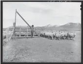  ?? RETRIEVED FROM THE LIBRARY OF CONGRESS ?? Collier, John, Jr., photograph­er. Los Córdovasar­ea sheep rancher Blas Chavez, Feb. 1943.