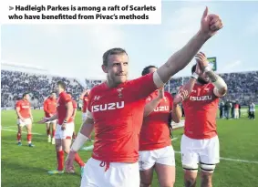  ??  ?? > Hadleigh Parkes is among a raft of Scarlets who have benefitted from Pivac’s methods