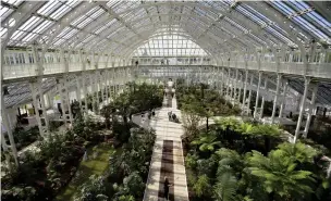  ?? FOTO: KIRSTY O’CONNOR/AP/TT ?? Det viktorians­ka glashuset Temperate House efter renovering­en.