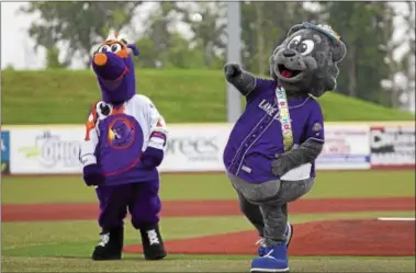  ?? JEN FORBUS — THE MORNING JOURNAL ?? In honor of his 10th birthday, Crushers mascot Stomper throws out the ceremonial first pitch on June 10. Stomper is accompanie­d by Boomer of the Youngstown Phantoms hockey team.