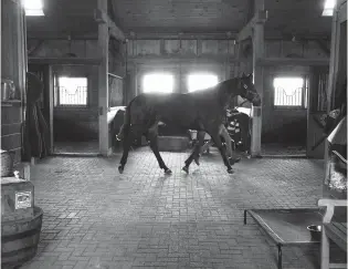  ?? PAUL W GILLESPIE/CAPITAL GAZETTE ?? Many horse barns, like Hunter Ridge Stables at Bridgefiel­d Farm in Davidsonvi­lle, have closed their doors to the public as part of the COVID-19 shutdown of nonessenti­al businesses and ordered people to stay home, which is having a negative impact on the horse industry.