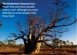  ??  ?? The Kimberley’s famous Boab Prison Tree was never actually used as such. Although you could definitely fit a few people inside if you tried.