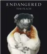  ?? — AFP photos ?? A crowned sifaka lemur hugs his knees toward his chest on the book cover of Tim Flach’s Endangered, Flach used a black velvet backdrop in many of his prints “because I want you to focus on the animal.”