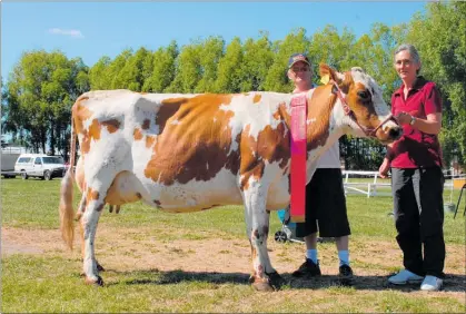  ??  ?? Stuart and Margaret Graham at the A&P Show in Feilding in 2008 with their Supreme Champion Ayrshire cow .