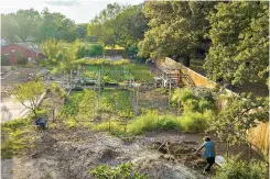  ?? (Smiley N. Pool/dallas Morning NEWS/TNS) ?? Jefferson Braga, bottom right, works in his family’s urban farm in Irving, Texas.