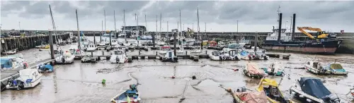  ??  ?? EBB AND FLOW: Below, a mixture of boats tied up in Bridlingto­n harbour; top, the 90-tonne lobster sculpture in Shediac, New Brunswick; above left, Dr David Harness.