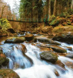  ?? Foto: Georg Knaus ?? Zauberhaft: die Wildbachkl­amm Buchberger Leite.