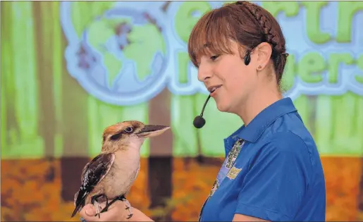  ?? JOE GIBBONS/THE TELEGRAM ?? Leonard, a laughing kookaburra bird from Australia, “sings” while sitting on the arm of Shannon Cass of the Earth Rangers on Friday at Bishop Abraham Elementary School in St. John’s. Earth Rangers, based in Toronto, is a non-profit organizati­on that uses live animals to teach children about the environmen­t.