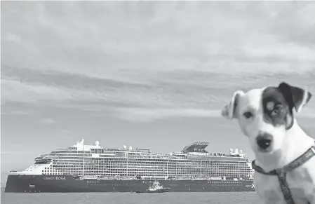  ?? SEBASTIEN SALOM GOMIS AFP/GETTY IMAGES ?? Doggone it, that’s a big ship! The French-made cruise ship Celebrity Edge leaves the shipyards of Saint-Nazaire, France, on its way to Miami.