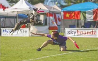  ?? SKYHOUNDZ CONTRIBUTE­D PHOTO ?? Dogs of all breeds and sizes will compete in SkyHoundz World Canine Disc Championsh­ip this weekend in Coolidge Park.