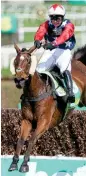  ?? ?? Kitty’s Light won the Scottish Grand National and the Bet365 Gold Cup