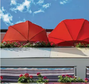  ?? Foto: Patrick Pleul, dpa ?? Orange und hellrote Farben sind für viele Balkone ideal und schrecken Mücken ab.