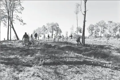  ??  ?? Autoridade­s ambientale­s y de seguridad pública de Michoacán detuvieron ayer a seis personas por delitos contra el medio ambiente en un predio de San Juan Tumbio, municipio de Pátzcuaro. De acuerdo con cifras oficiales, la producción de aguacate en el...