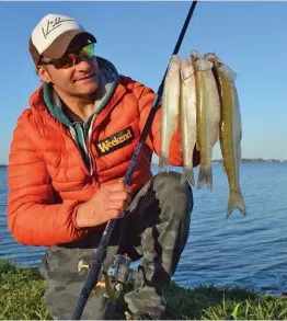  ??  ?? En Buenos Aires nos podemos encontrar con prometedor­es lugares para la pesca de costa. Con nuestro cuidado estos podrán perdurar por muchas temporadas.