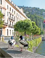  ?? ?? EL HOTEL Villa d’este es el símbolo de las vacaciones con "grandezza" en Como