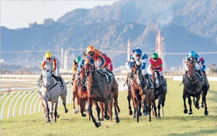  ?? Photo: TRISH DUNELL ?? Opulent has her rivals well covered as Matt Cameron lets her stride clear at Ruakaka last Saturday.