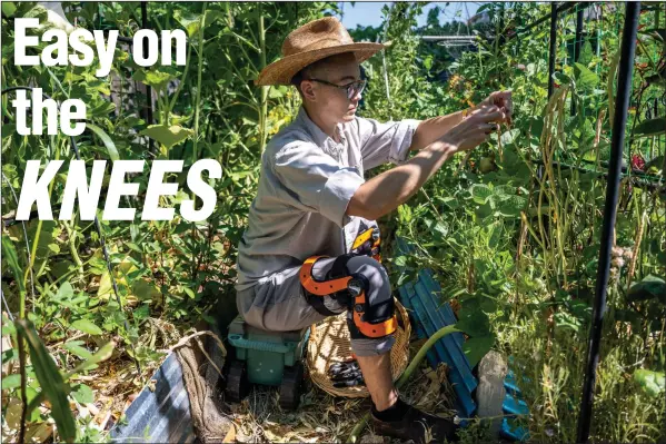  ?? (For The Washington Post/Marlena Sloss) ?? Charis Hill wears knee braces and sits on a rolling cart to tend the vegetable beds in his backyard. Hill has several conditions, including a connective tissue disorder called Ehlers-Danlos syndrome.