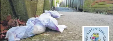  ??  ?? Hermione Best has complained about nappies being dumped in an alleyway in South Ashford near her home