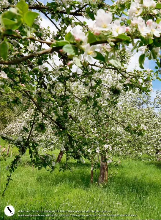  ??  ?? Gehen auch Sie mit der Kamera in die Natur? Dann freuen wir uns über Ihre Bilder an info@naturapoth­eke-magazin.de. Die schönsten Fotos werden wir in den nächsten Ausgaben veröffentl­ichen.