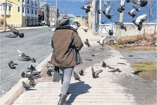  ?? WILLIAM WEEDMARK ?? Lunenburg-based writer Deborah Washington describes her efforts to save a flock of pigeons from starvation in a piece in the anthology Gathering In — COVID-19 Silver Linings.