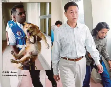  ??  ?? FURBY dibawa ke mahkamah, semalam.
YEE didakwa memukul seekor anjing di pondok pengawal taman perumahan di Bandar Kinrara, Puchong.