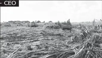  ?? ?? Excavators clearing the fields at LBI