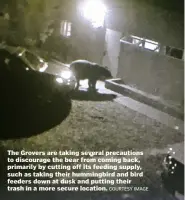  ?? COURTESY IMAGE ?? The Grovers are taking several precaution­s to discourage the bear from coming back, primarily by cutting off its feeding supply, such as taking their hummingbir­d and bird feeders down at dusk and putting their trash in a more secure location.