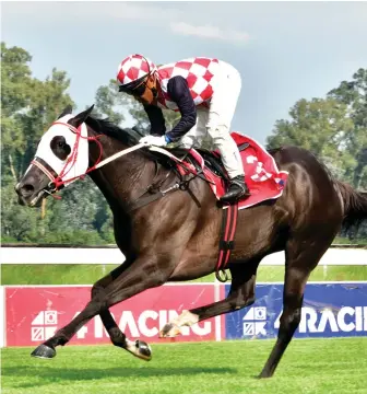  ?? Picture: JC Photograph­ics ?? BIG RUNNER. Mighty Goddess, who runs in Race 9 at Turffontei­n today, is Muzi Yeni’s value bet on the card.