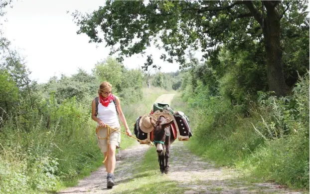  ?? Foto: Heidi Diehl ?? Es gibt viele Ecken in Deutschlan­d, die auf Entdeckung warten. Die Uckermark kann man mit einem Esel durchwande­rn.