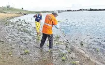  ??  ?? Unos diez funcionari­os son los encargados de la limpieza de la ribera del río Paraguay en la zona de la Costanera.