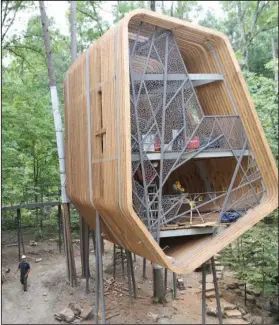  ?? The Sentinel-Record/Richard Rasmussen ?? TREE HOUSE: Garvan Woodland Gardens will celebrate the soft opening of its new Tree House, located within the Evans Children’s Adventure Garden, on June 30.